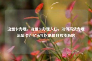 流量卡办理,流量卡办理入口,如何高效办理流量卡?亿乐社区低价自营货源站