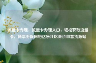 流量卡办理,流量卡办理入口,轻松获取流量卡,畅享无限网络亿乐社区低价自营货源站
