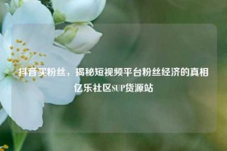抖音买粉丝,揭秘短视频平台粉丝经济的真相亿乐社区SUP货源站