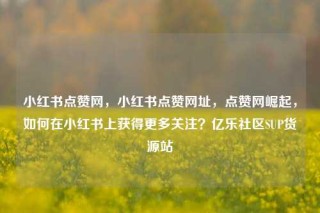 小红书点赞网,小红书点赞网址,点赞网崛起,如何在小红书上获得更多关注?亿乐社区SUP货源站