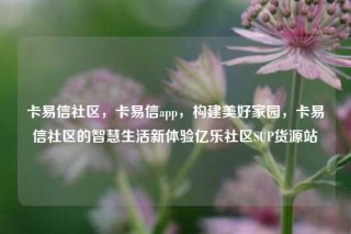 卡易信社区,卡易信app,构建美好家园,卡易信社区的智慧生活新体验亿乐社区SUP货源站
