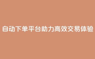 KS自动下单平台助力高效交易体验