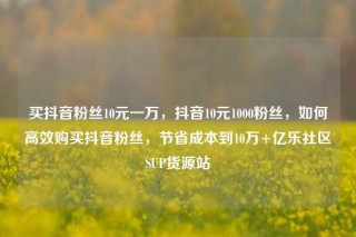 买抖音粉丝10元一万,抖音10元1000粉丝,如何高效购买抖音粉丝,节省成本到10万+亿乐社区SUP货源站