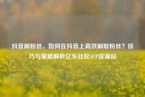 抖音刷粉丝,如何在抖音上高效刷取粉丝?技巧与策略解析亿乐社区SUP货源站