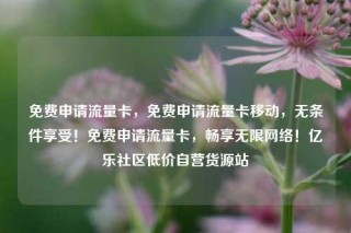 免费申请流量卡,免费申请流量卡移动,无条件享受!免费申请流量卡,畅享无限网络!亿乐社区低价自营货源站