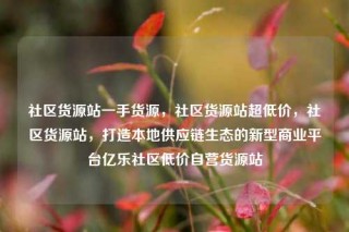 社区货源站一手货源,社区货源站超低价,社区货源站,打造本地供应链生态的新型商业平台亿乐社区低价自营货源站