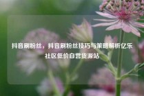 抖音刷粉丝，抖音刷粉丝技巧与策略解析亿乐社区低价自营货源站