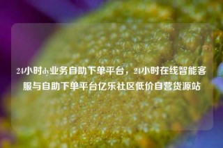 24小时dy业务自助下单平台,24小时在线智能客服与自助下单平台亿乐社区低价自营货源站