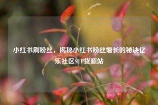 小红书刷粉丝,揭秘小红书粉丝增长的秘诀亿乐社区SUP货源站