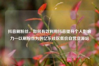 抖音刷粉丝,如何有效利用抖音提升个人影响力—以刷粉丝为例亿乐社区低价自营货源站