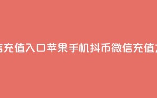抖币微信充值入口苹果手机(抖币微信充值方法分享)