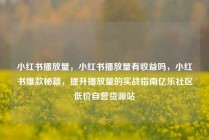 小红书播放量，小红书播放量有收益吗，小红书爆款秘籍，提升播放量的实战指南亿乐社区低价自营货源站