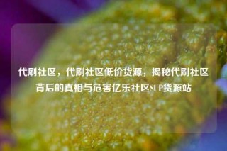 代刷社区,代刷社区低价货源,揭秘代刷社区背后的真相与危害亿乐社区SUP货源站