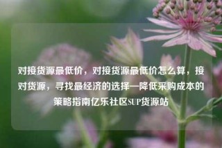 对接货源最低价,对接货源最低价怎么算,接对货源,寻找最经济的选择—降低采购成本的策略指南亿乐社区SUP货源站