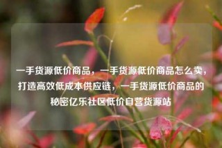 一手货源低价商品,一手货源低价商品怎么卖,打造高效低成本供应链,一手货源低价商品的秘密亿乐社区低价自营货源站