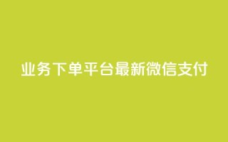 KS业务下单平台最新微信支付,24小时抖音业务低价 - 代刷抖音1元10万粉可靠吗 - 业务自助下单网站官网