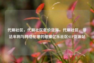 代刷社区,代刷社区低价货源,代刷社区,非法牟利与网络伦理的碰撞亿乐社区SUP货源站