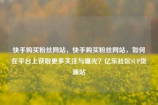 快手购买粉丝网站,快手购买粉丝网站,如何在平台上获取更多关注与曝光?亿乐社区SUP货源站