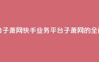 快手业务平台子萧网 - 快手业务平台子萧网的全面解析~