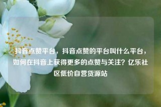 抖音点赞平台,抖音点赞的平台叫什么平台,如何在抖音上获得更多的点赞与关注?亿乐社区低价自营货源站