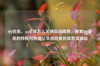 QQ会员,qq会员怎么关闭自动续费,探索QQ会员的特权与价值亿乐社区低价自营货源站