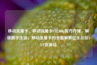 移动流量卡,移动流量卡9元300g官方办理,解锁数字生活,移动流量卡的全面解析亿乐社区SUP货源站