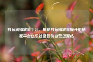 抖音刷播放量平台,揭秘抖音播放量提升的秘密平台亿乐社区低价自营货源站