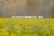 小红书笔记小眼睛数只有一两百