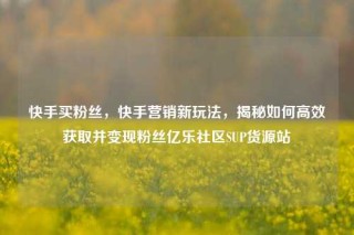 快手买粉丝,快手营销新玩法,揭秘如何高效获取并变现粉丝亿乐社区SUP货源站