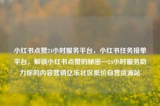 小红书点赞24小时服务平台,小红书任务接单平台,解锁小红书点赞的秘密—24小时服务助力你的内容营销亿乐社区低价自营货源站