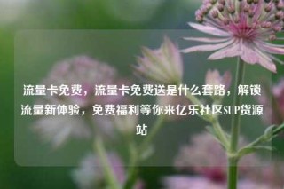 流量卡免费,流量卡免费送是什么套路,解锁流量新体验,免费福利等你来亿乐社区SUP货源站