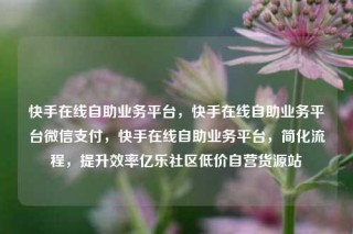 快手在线自助业务平台,快手在线自助业务平台微信支付,快手在线自助业务平台,简化流程,提升效率亿乐社区低价自营货源站