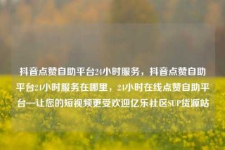 抖音点赞自助平台24小时服务,抖音点赞自助平台24小时服务在哪里,24小时在线点赞自助平台—让您的短视频更受欢迎亿乐社区SUP货源站