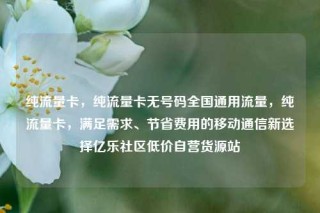纯流量卡,纯流量卡无号码全国通用流量,纯流量卡,满足需求、节省费用的移动通信新选择亿乐社区低价自营货源站