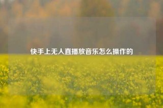 快手上无人直播放音乐怎么操作的