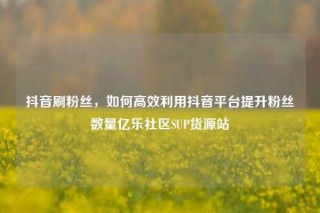 抖音刷粉丝,如何高效利用抖音平台提升粉丝数量亿乐社区SUP货源站
