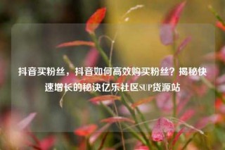 抖音买粉丝,抖音如何高效购买粉丝?揭秘快速增长的秘诀亿乐社区SUP货源站