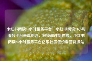 小红书阅读24小时服务平台,小红书阅读24小时服务平台是真的吗,解锁阅读新体验,小红书阅读24小时服务平台亿乐社区低价自营货源站