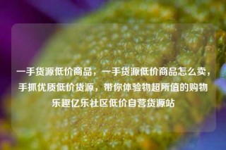 一手货源低价商品,一手货源低价商品怎么卖,手抓优质低价货源,带你体验物超所值的购物乐趣亿乐社区低价自营货源站