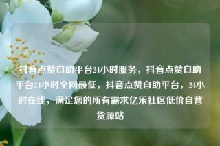 抖音点赞自助平台24小时服务,抖音点赞自助平台24小时全网最低,抖音点赞自助平台,24小时在线,满足您的所有需求亿乐社区低价自营货源站