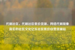 代刷社区,代刷社区低价货源,网络代刷现象背后的社区文化亿乐社区低价自营货源站