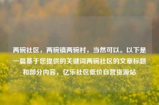 两碗社区,两碗镇两碗村,当然可以。以下是一篇基于您提供的关键词两碗社区的文章标题和部分内容,亿乐社区低价自营货源站
