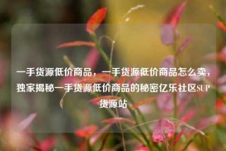 一手货源低价商品,一手货源低价商品怎么卖,独家揭秘一手货源低价商品的秘密亿乐社区SUP货源站