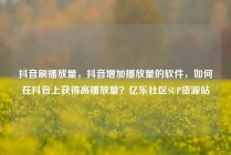 抖音刷播放量,抖音增加播放量的软件,如何在抖音上获得高播放量?亿乐社区SUP货源站