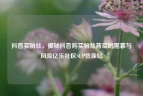 抖音买粉丝，揭秘抖音购买粉丝背后的黑幕与风险亿乐社区SUP货源站
