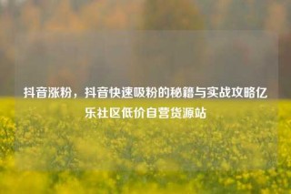 抖音涨粉，抖音快速吸粉的秘籍与实战攻略亿乐社区低价自营货源站