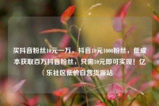 买抖音粉丝10元一万,抖音10元1000粉丝,低成本获取百万抖音粉丝,只需10元即可实现!亿乐社区低价自营货源站