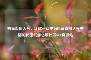 抖音直播人气,让你一跃成为抖音直播人气主播的秘密武器亿乐社区SUP货源站