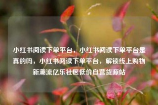 小红书阅读下单平台，小红书阅读下单平台是真的吗，小红书阅读下单平台，解锁线上购物新潮流亿乐社区低价自营货源站