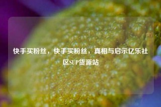 快手买粉丝,快手买粉丝,真相与启示亿乐社区SUP货源站
